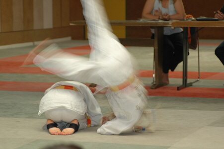 2010_Fallschule